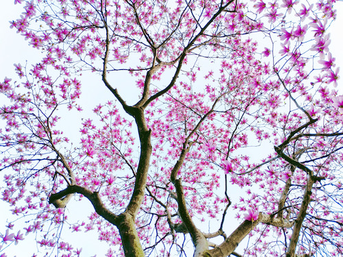 MEITU_20250321_172944492